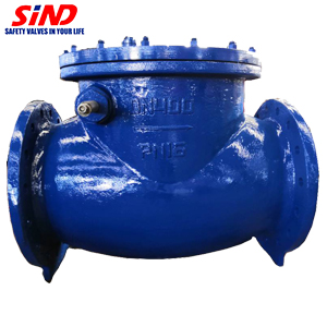 BS5153 Swing Check Valve